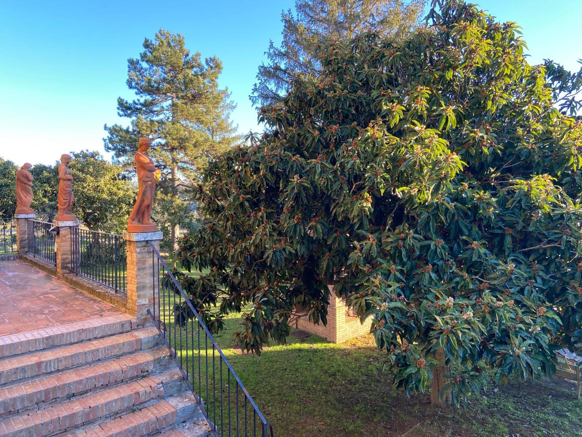 Casaletolfe Residence Siena Kültér fotó